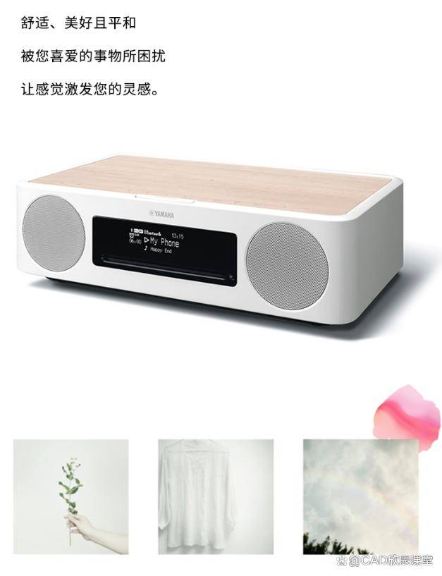 大音响效果最好的牌子推荐？ayx爱游戏app体育十(图2)
