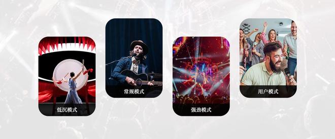 价天花板轻松感受直击灵魂的低音冲击！ayx爱游戏体育网页版入口低音炮性(图5)