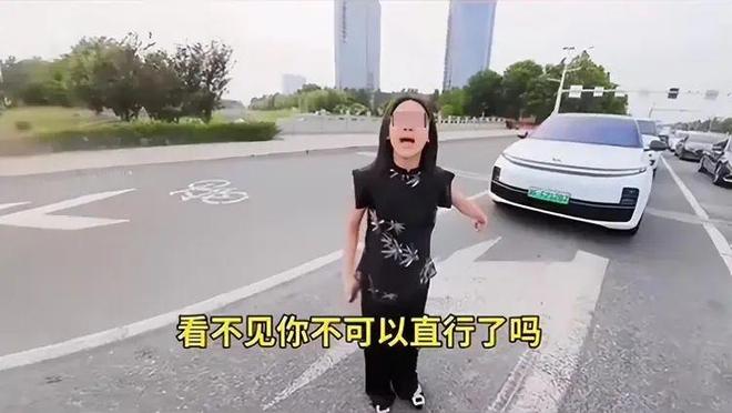 后续：女司机气到流产公布完整行车记录仪AYX爱游戏APP河北女司机与骑手冲突(图14)