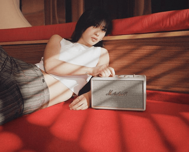 前10名：探索音质的极致与选择的智慧爱游戏爱体育2025年音响品牌排行榜(图10)